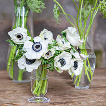 Load image into Gallery viewer, Juliska - Graham 6" Posey Vase