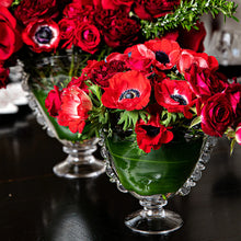 Load image into Gallery viewer, Juliska - Harriet 6" Fan Vase