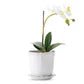 Load image into Gallery viewer, Juliska - Berry & Thread 5" Planter