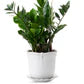 Load image into Gallery viewer, Juliska - Berry & Thread 7" Planter