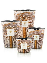 Load image into Gallery viewer, Baobab - Sacred Trees Dualla