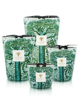 Load image into Gallery viewer, Baobab - Sacred Trees Kamalo