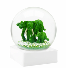 Load image into Gallery viewer, Snowglobes