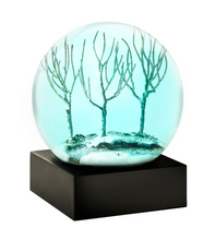 Load image into Gallery viewer, Snowglobes