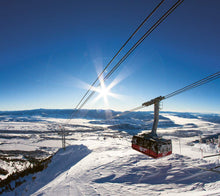 Load image into Gallery viewer, The Ultimate Ski Book