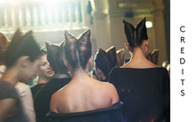 Load image into Gallery viewer, Hair: Fashion and Fantasy