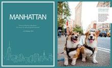 Load image into Gallery viewer, Canines of New York