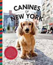 Load image into Gallery viewer, Canines of New York