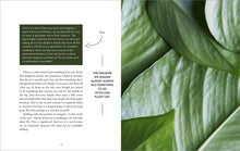 Load image into Gallery viewer, Skogluft: Norwegian Secrets for Bringing Natural Air and Light into Your Home and Office to Dramatically Improve Health and Happiness