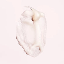 Load image into Gallery viewer, Oribe - Serene Scalp Anti -Dandruff Shampoo
