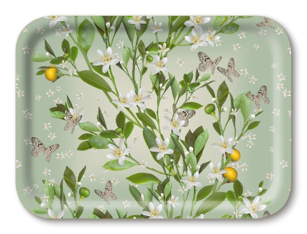 Jamida - Orange Blossom Tray - Thumbnail 4
