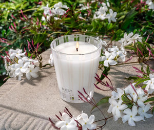 Nest - Indian Jasmine Candle