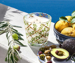 Nest - Santorini Olive & Citron Specialty 3-Wick Candle