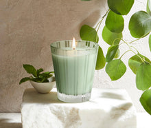 Load image into Gallery viewer, Nest - Wild Mint &amp; Eucalyptus Candle
