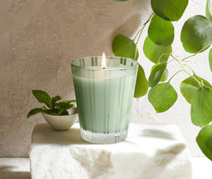 Nest - Wild Mint & Eucalyptus Candle