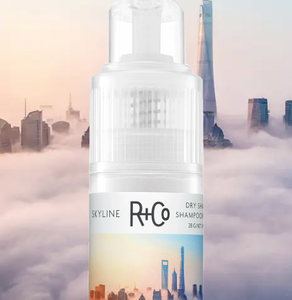 R+Co - Skyline Dry Shampoo Powder