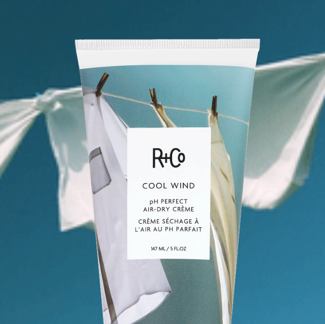 R+Co Cool Wind Air-Dry Creme