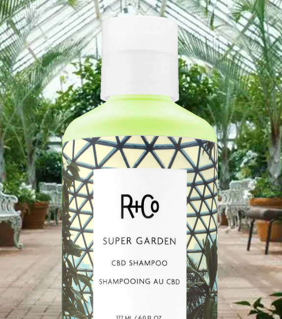 R+Co - Super Garden CBD Shampoo