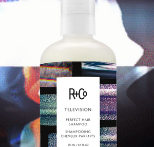 R+Co Television Perfect Hair Shampoo