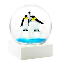 Load image into Gallery viewer, Snowglobes
