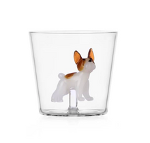 Load image into Gallery viewer, Ichendorf Milano- Glasses
