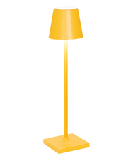 Load image into Gallery viewer, Micro Cordless Lamp

