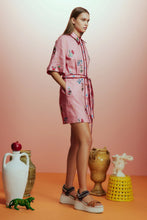 Load image into Gallery viewer, Alémais Timmy Mini Dress
