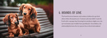 Load image into Gallery viewer, Be More Sausage: Lifelong lessons from a small but mighty dog
