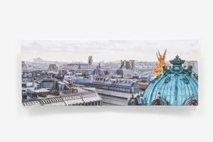 Rooftop Paris: A Panoramic View of the City of Light