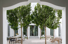 Load image into Gallery viewer, Beachside: Windsor Architecture and Design
