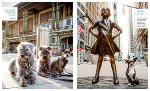 Canines of New York